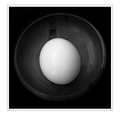 S7A700459.png