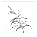 S7A700542.png