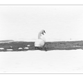 S7A700550.png