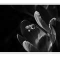 S7A701056_01.png