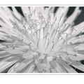 S7A701347.png