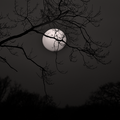 S7A702658_03.png