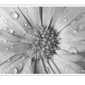 S7A703248-51_ZS_retouched_out_02.png