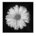 S7A703260-5_ZS_retouched_02_out.png