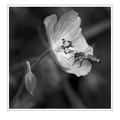 S7A704196_01.png