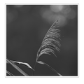 S7A704489.png