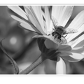 S7A706055.png