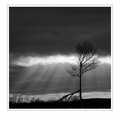 S7R03738_04.png