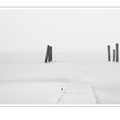 S7R03494.png