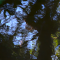 S7A702002.png