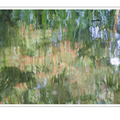 S7A704484.png