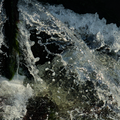 S7A705269.png