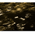 S7A705565.png