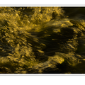 S7A705595.png