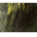 S7A706915_01.png