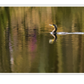 S7A700748_03.png