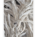 S7A705817-S7A705836_09-08-05.49.10 ZS PMax.png