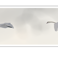 S7A707182.png