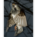 S7A707573.png