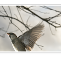 S7A707901.png