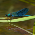 S7A708759_02.png