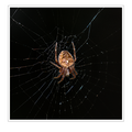 S7A709324_03.png