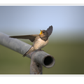 S7A709864_01.png