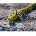 S7R02197_01.png
