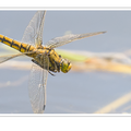 S7R02989_02.png