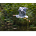S7R04113_01_plus_01.png