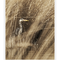 S7R06077_denoised.png