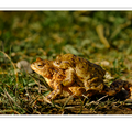 S7R06183_03.png