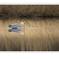 S7R06630_01.png