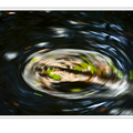 S7A701661_01.png