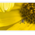 S7A706031.png