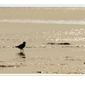 S7R03508_01.png