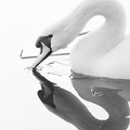 S7A700142.png