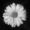 S7A703260-5_ZS_retouched_02_out.png