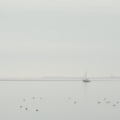 S7A705218.png