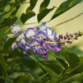 S7A705957.png