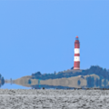 S7A709576_04_plus.png