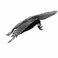 S7R00187.png