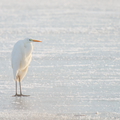 S7R03486_01.png