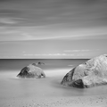 S7A703169_V3.png