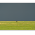 S7A700031.png