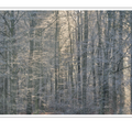 S7A700364.png