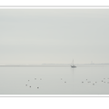 S7A705218.png