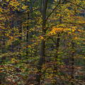 S7A706962.png