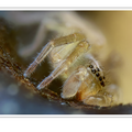 S7R06103-15_ZS_PMax.png