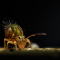 S7R07688-715_ZS_retouched_denoise.png